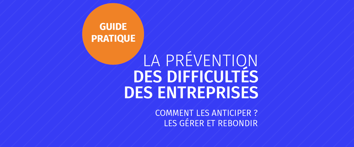 Guide de prévention des difficultés en entreprises