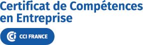 Logo formation CCE France