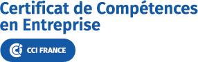 Logo formation CCE France