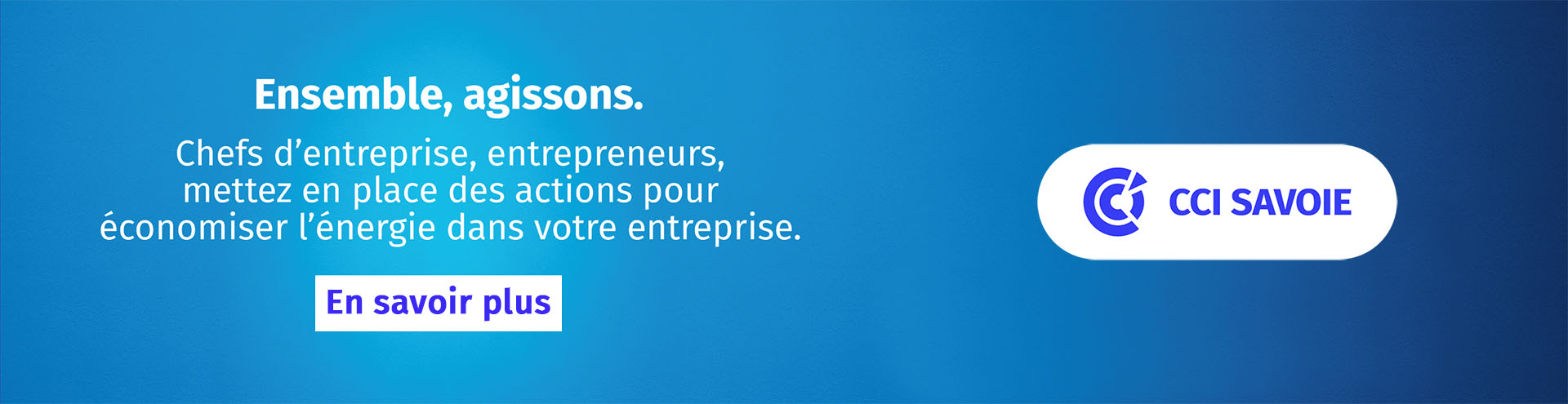 actualite-sobriete-energetique