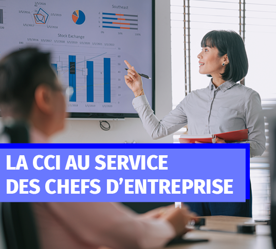 Formation CCI Savoie 