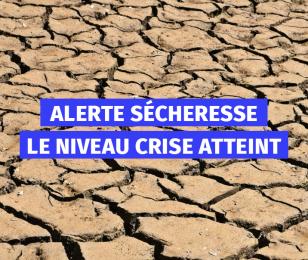Alerte sécheresse : le niveau crise atteint