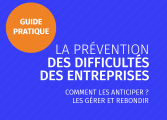 Guide de prévention des difficultés en entreprises